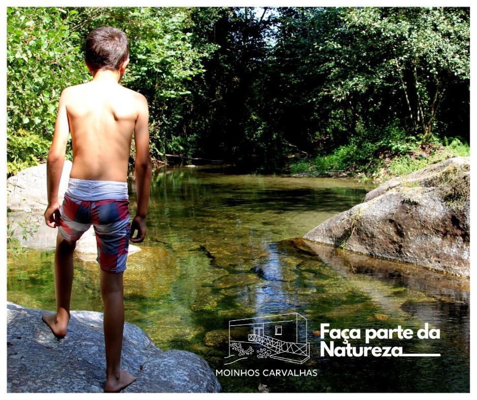 Moinhos Carvalhas *