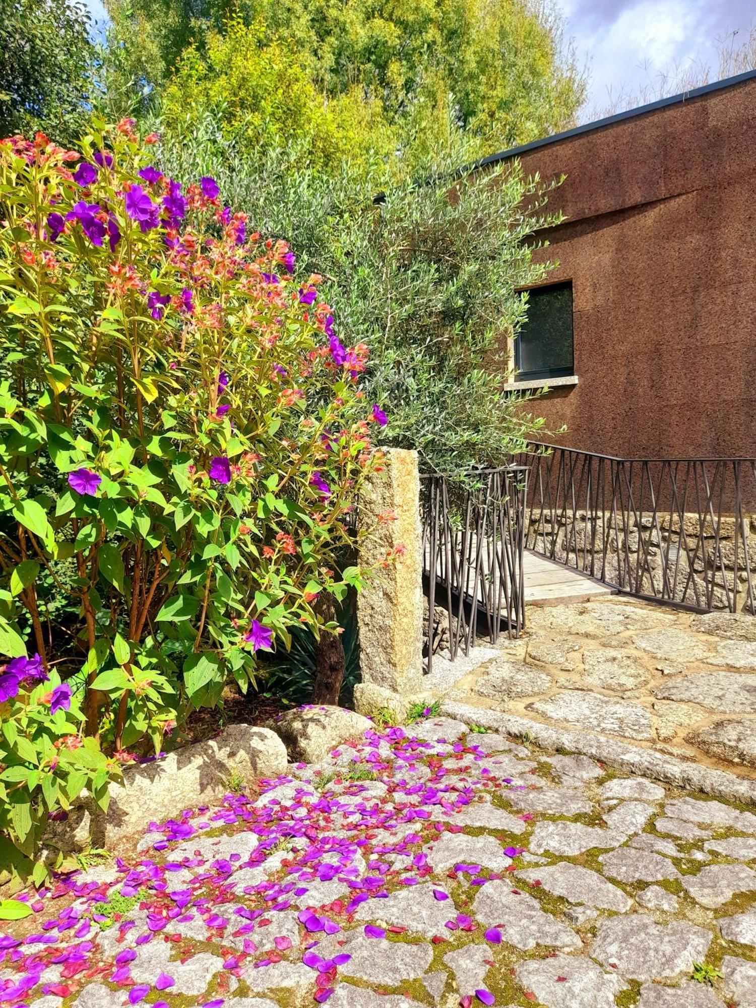 Moinhos Carvalhas Arcos de Valdevez